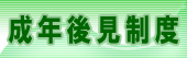 成年後見制度